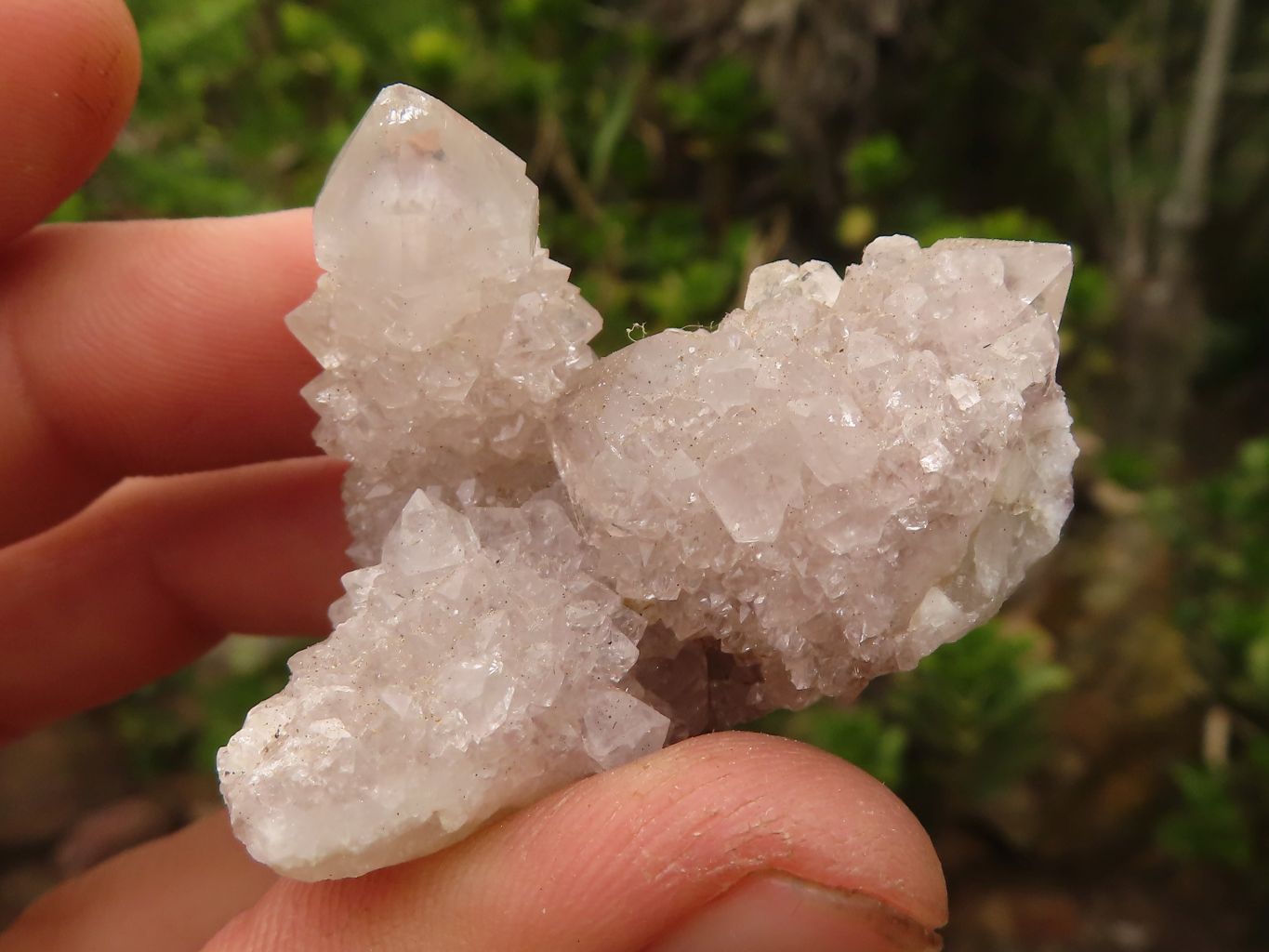 Natural Small Spirit Quartz Clusters  x 35 From Boekenhouthoek, South Africa - Toprock Gemstones and Minerals 
