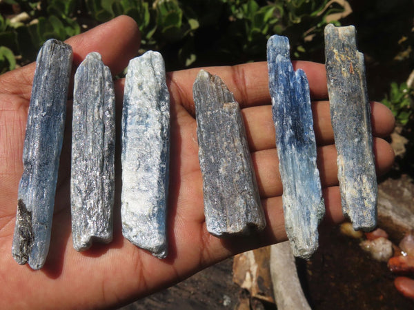 Natural Single Blue Kyanite Crystals  x 35 From Karoi, Zimbabwe