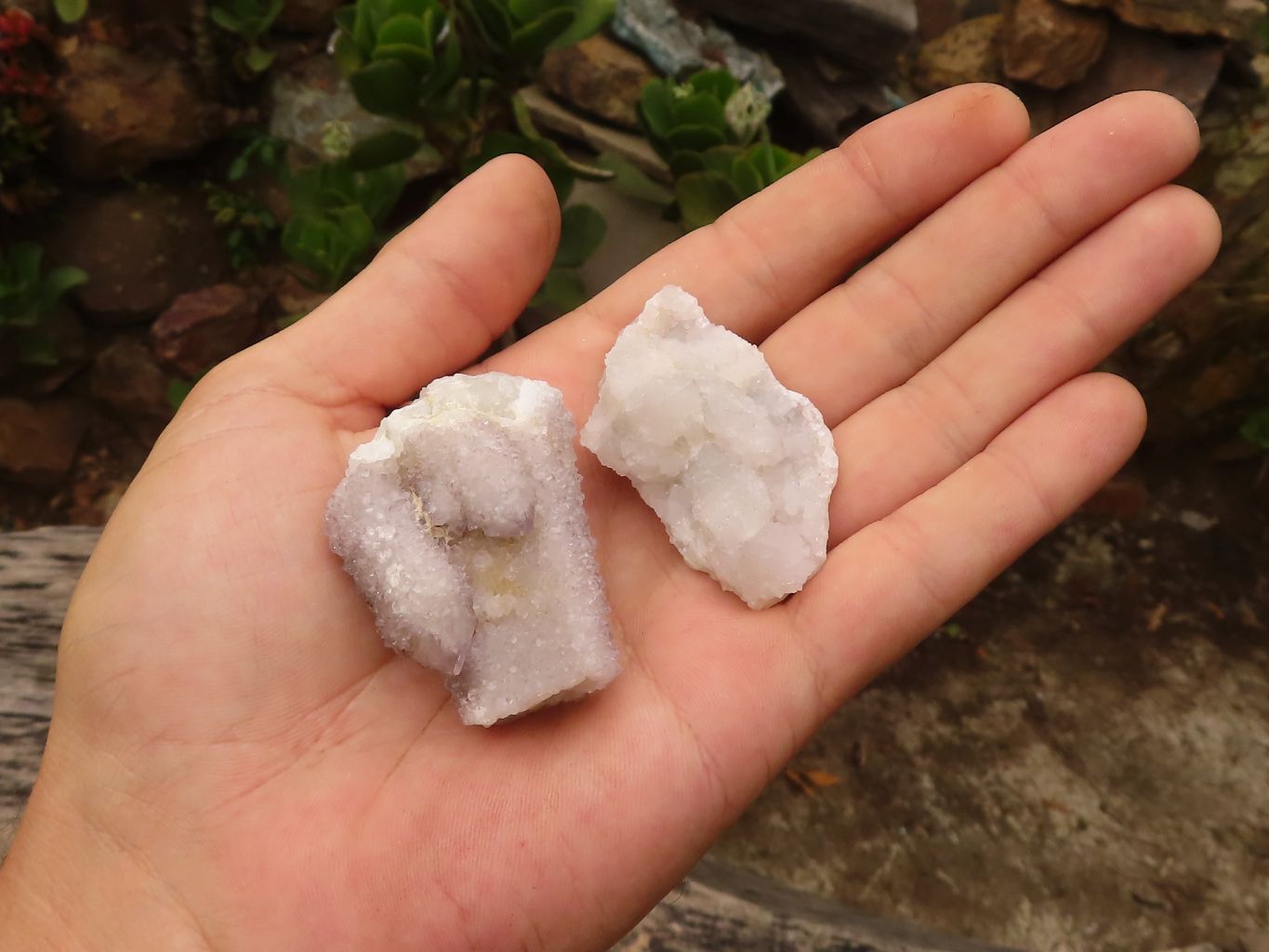 Natural Small Spirit Quartz Clusters  x 35 From Boekenhouthoek, South Africa - Toprock Gemstones and Minerals 