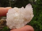 Natural Small Spirit Quartz Clusters  x 35 From Boekenhouthoek, South Africa - Toprock Gemstones and Minerals 