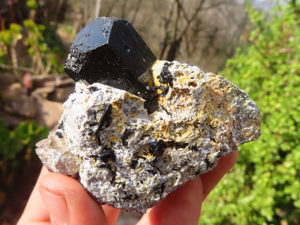 Natural Schorl Black Tourmaline Specimens x 6 From Erongo, Namibia