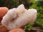 Natural Small Spirit Quartz Clusters  x 35 From Boekenhouthoek, South Africa - Toprock Gemstones and Minerals 