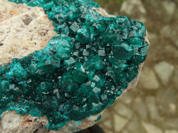 Natural XL Dioptase Specimen With Bright Emerald Green Crystals On Pink & White Dolomite x 1 From Congo - TopRock