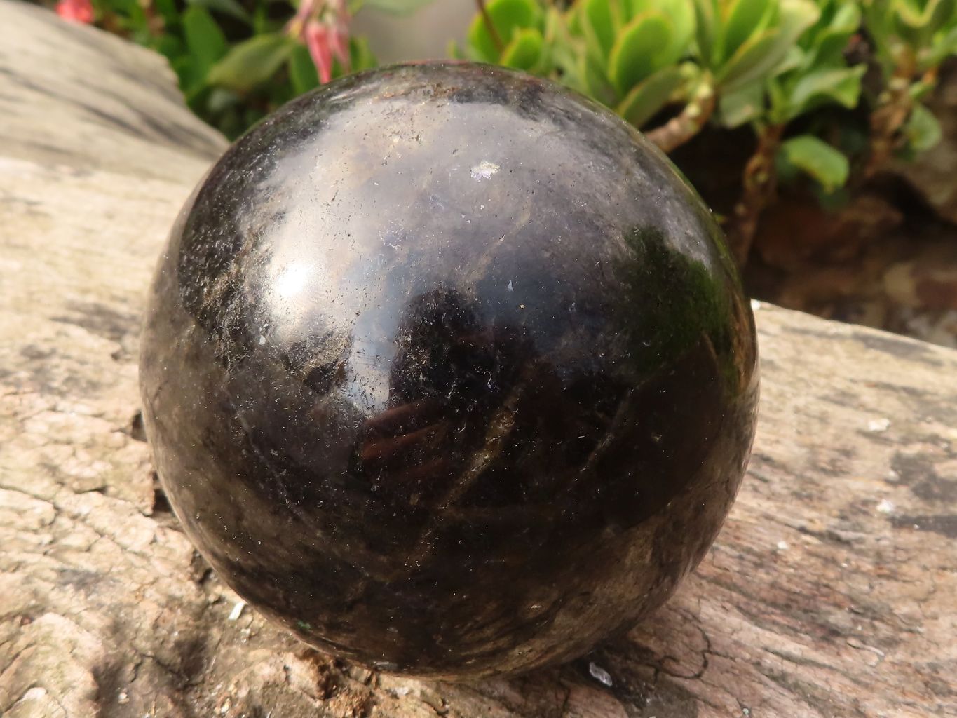 Polished Rare Iolite Spheres x 2 From Ambatofinandrahana, Madagascar - Toprock Gemstones and Minerals 