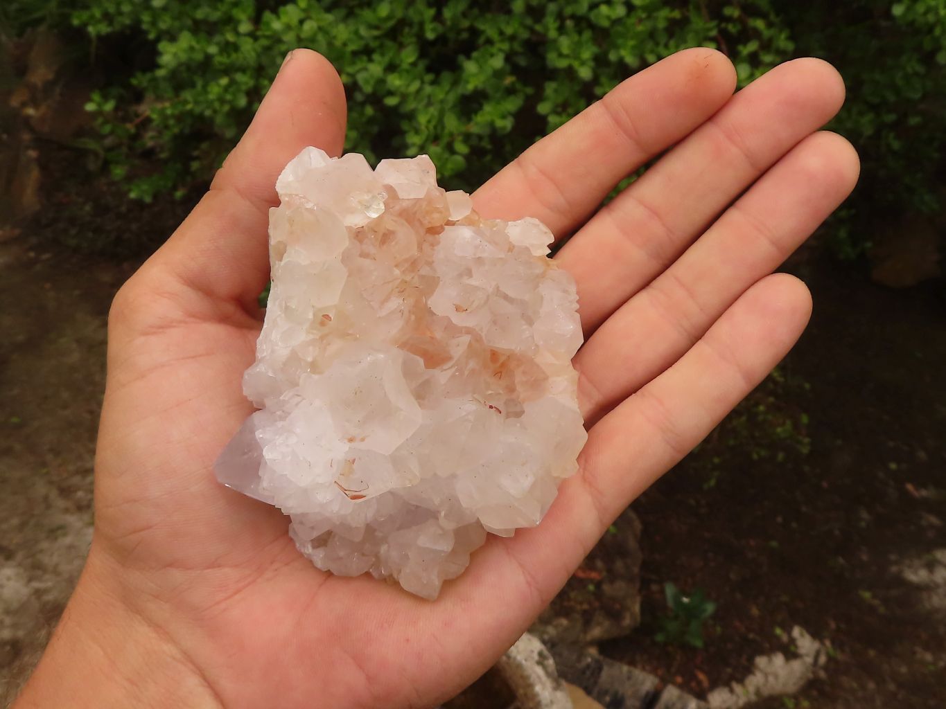Natural White Spirit Cactus Quartz Clusters  x 6 From Boekenhouthoek, South Africa - Toprock Gemstones and Minerals 