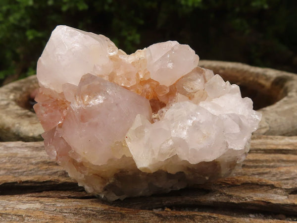 Natural White Spirit Cactus Quartz Clusters  x 6 From Boekenhouthoek, South Africa - Toprock Gemstones and Minerals 