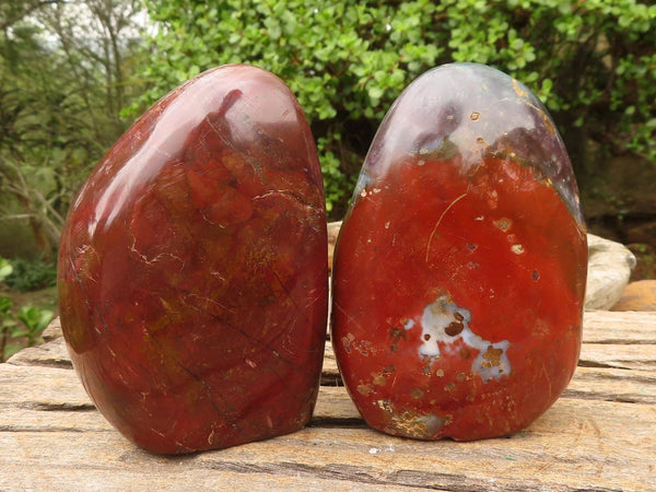 Polished Red Jasper Standing Free Forms  x 2 From Madagascar