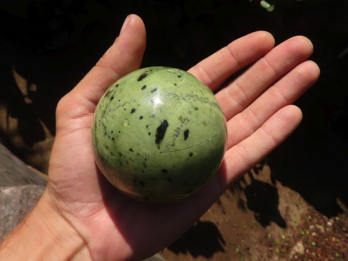 Polished Green Leopard Stone Spheres  x 3 From Zimbabwe - Toprock Gemstones and Minerals 