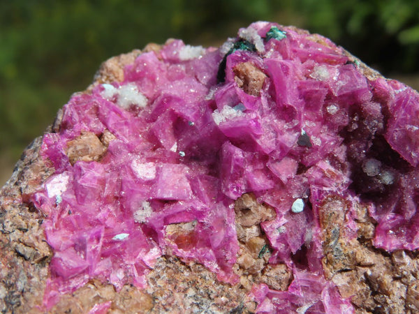 Natural Drusy Salrose Cobaltion Dolomite Specimens x 6 From Kakanda, Congo - TopRock