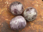 Polished Large Amethyst Palm Stones  x 7 From Madagascar - TopRock