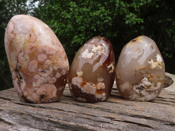 Polished Coral Flower Agate Standing Free Forms  x 3 From Madagascar - TopRock
