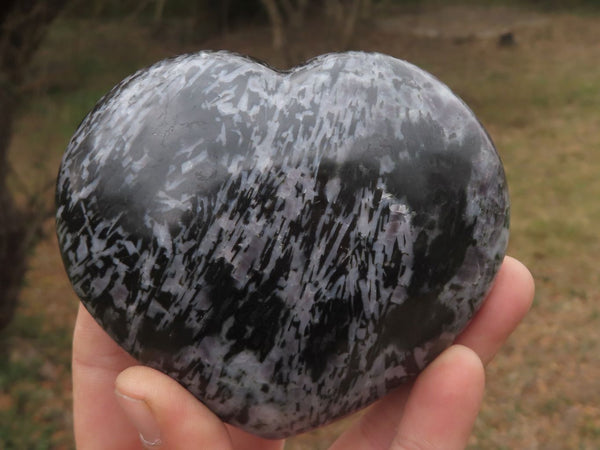 Polished Merlinite / Gabbro Hearts  x 2 From Ambatondrazaka, Madagascar - TopRock