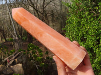 Polished Orange Twist Calcite Towers x 2 From Maevantanana, Madagascar - Toprock Gemstones and Minerals 