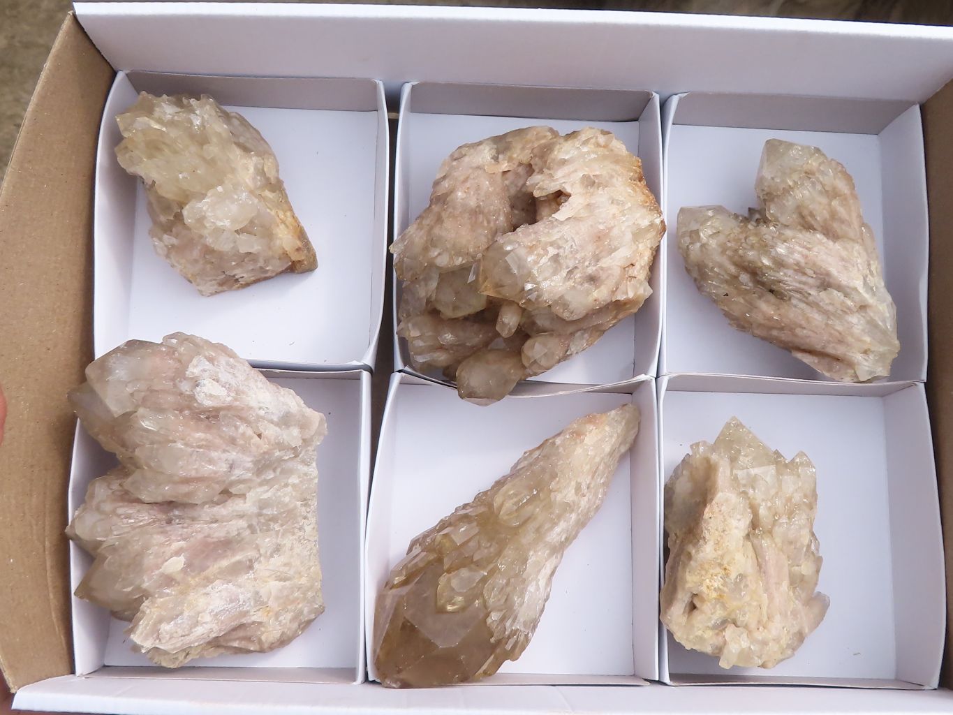 Natural White Phantom Smokey Quartz Clusters  x 6 From Luena, Congo - TopRock