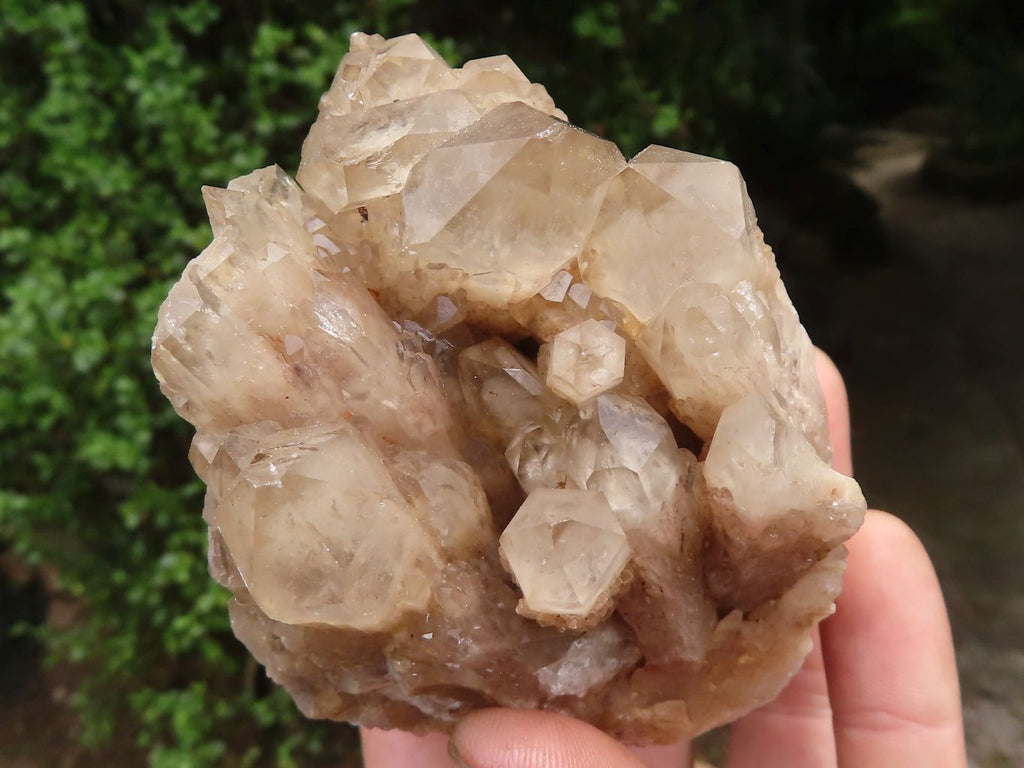 Natural White Phantom Smokey Quartz Clusters  x 6 From Luena, Congo - TopRock