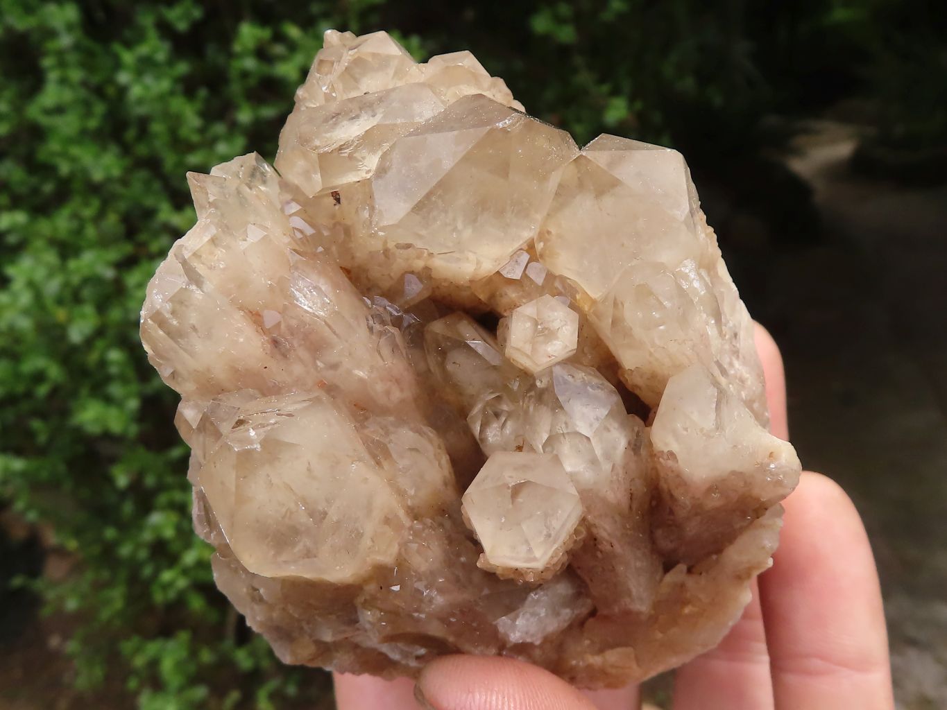 Natural White Phantom Smokey Quartz Clusters  x 6 From Luena, Congo - TopRock