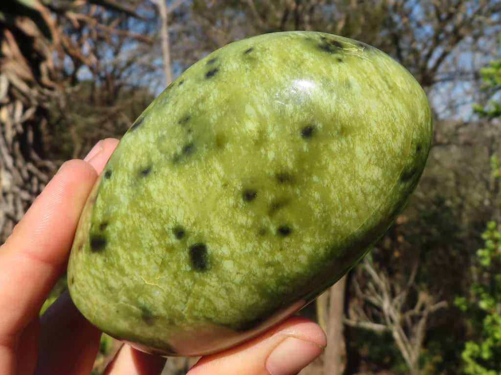 Leopard Spot Rocks Polished Spotted Leopard Stone Standing Free Forms x 3 From Zimbabwe ...