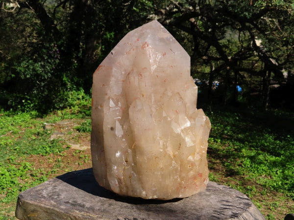 Polished/Natural A Grade Groovy Half & Half XXL Arcadian Angolan Cascading Cut To Stand Crystal x 1 From Angola - TopRock