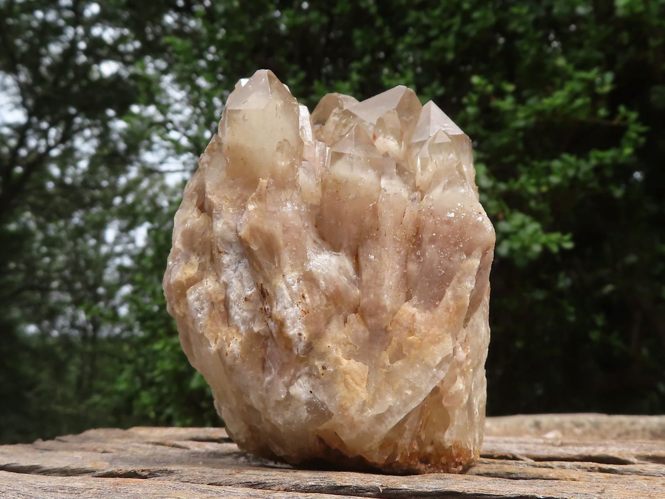 Natural White Phantom Smokey Quartz Clusters  x 6 From Luena, Congo - TopRock