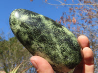 Polished Spotted Leopard Stone Standing Free Forms  x 3 From Zimbabwe - Toprock Gemstones and Minerals 
