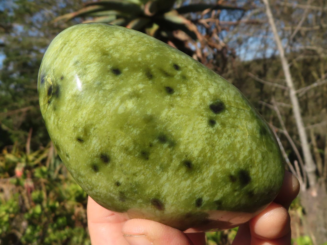 Polished Spotted Leopard Stone Standing Free Forms  x 3 From Zimbabwe - Toprock Gemstones and Minerals 