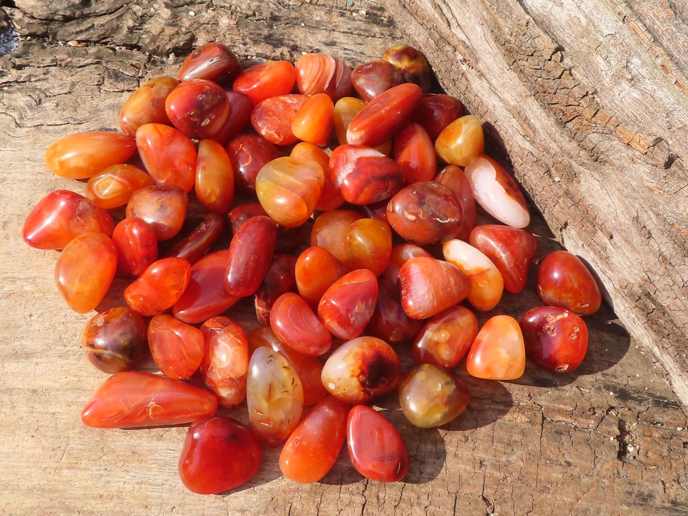 Polished  Small Carnelian Agate Free Forms  x 1 Kg Lot From Madagascar - Toprock Gemstones and Minerals 