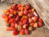 Polished  Small Carnelian Agate Free Forms  x 1 Kg Lot From Madagascar - Toprock Gemstones and Minerals 