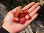 Polished  Small Carnelian Agate Free Forms  x 1 Kg Lot From Madagascar - Toprock Gemstones and Minerals 