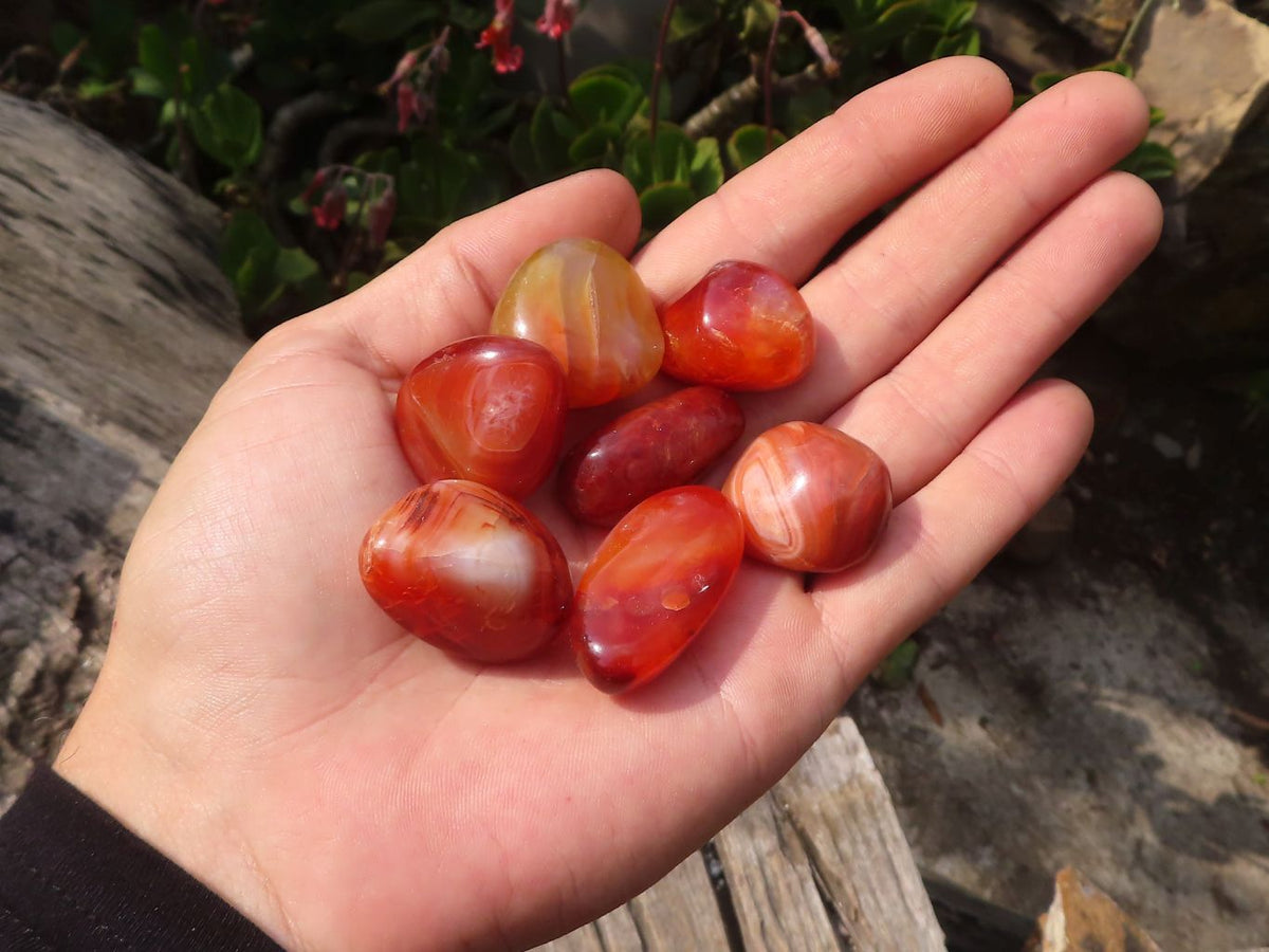 Polished  Small Carnelian Agate Free Forms  x 1 Kg Lot From Madagascar - Toprock Gemstones and Minerals 