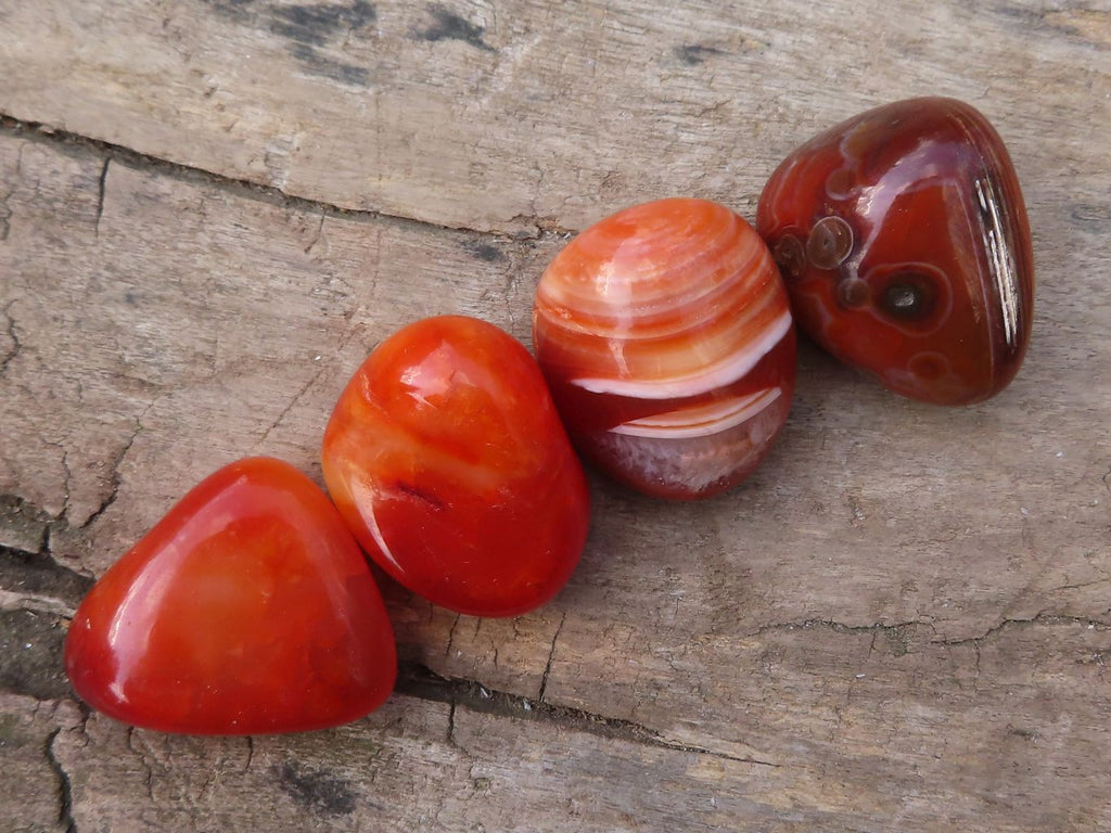 Polished  Small Carnelian Agate Free Forms  x 1 Kg Lot From Madagascar - Toprock Gemstones and Minerals 