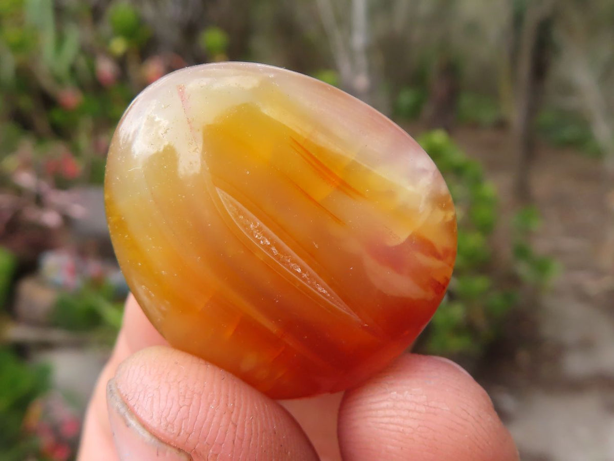 Polished  Small Carnelian Agate Free Forms  x 1 Kg Lot From Madagascar - Toprock Gemstones and Minerals 