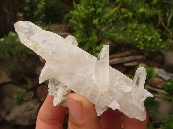 Natural Single Clear Quartz Crystals  x 12 From Mpika, Zambia