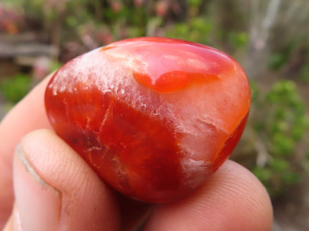 Polished  Small Carnelian Agate Free Forms  x 1 Kg Lot From Madagascar - Toprock Gemstones and Minerals 