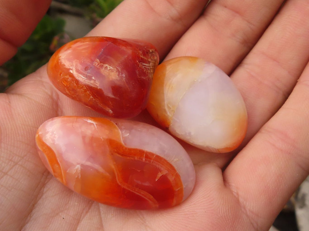 Polished  Small Carnelian Agate Free Forms  x 1 Kg Lot From Madagascar - Toprock Gemstones and Minerals 