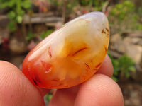 Polished  Small Carnelian Agate Free Forms  x 1 Kg Lot From Madagascar - Toprock Gemstones and Minerals 