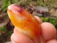 Polished  Small Carnelian Agate Free Forms  x 1 Kg Lot From Madagascar - Toprock Gemstones and Minerals 