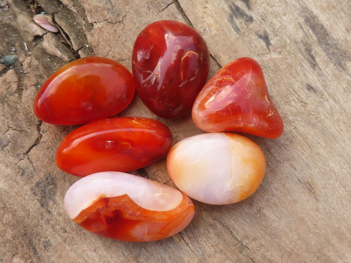 Polished  Small Carnelian Agate Free Forms  x 1 Kg Lot From Madagascar - Toprock Gemstones and Minerals 