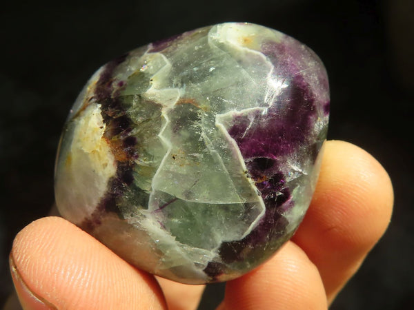 Polished Watermelon Fluorite Free Forms  x 12 From Uis, Namibia