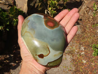 Polished Polychrome Jasper Domed Pieces  x 2 From Madagascar - Toprock Gemstones and Minerals 