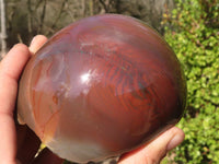 Polished Polychrome Jasper Domed Pieces  x 2 From Madagascar - Toprock Gemstones and Minerals 