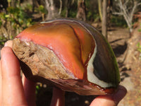 Polished Polychrome Jasper Domed Pieces  x 2 From Madagascar - Toprock Gemstones and Minerals 