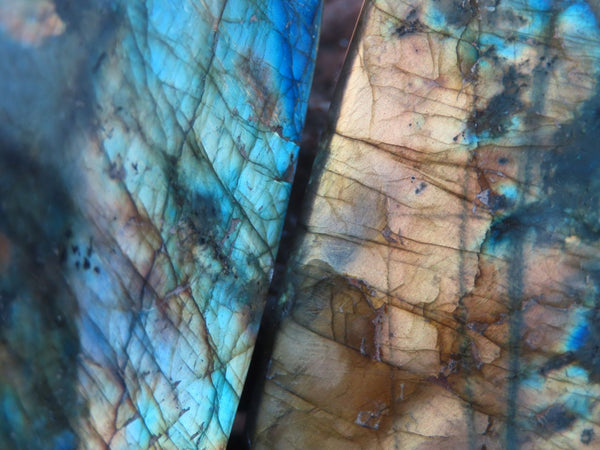 Polished Flashy Labradorite Standing Free Forms x 2 From Madagascar - TopRock