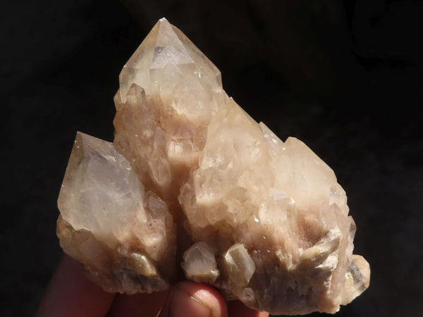 Natural Cascading White Phantom Smokey Quartz Clusters  x 6 From Luena, Congo - Toprock Gemstones and Minerals 
