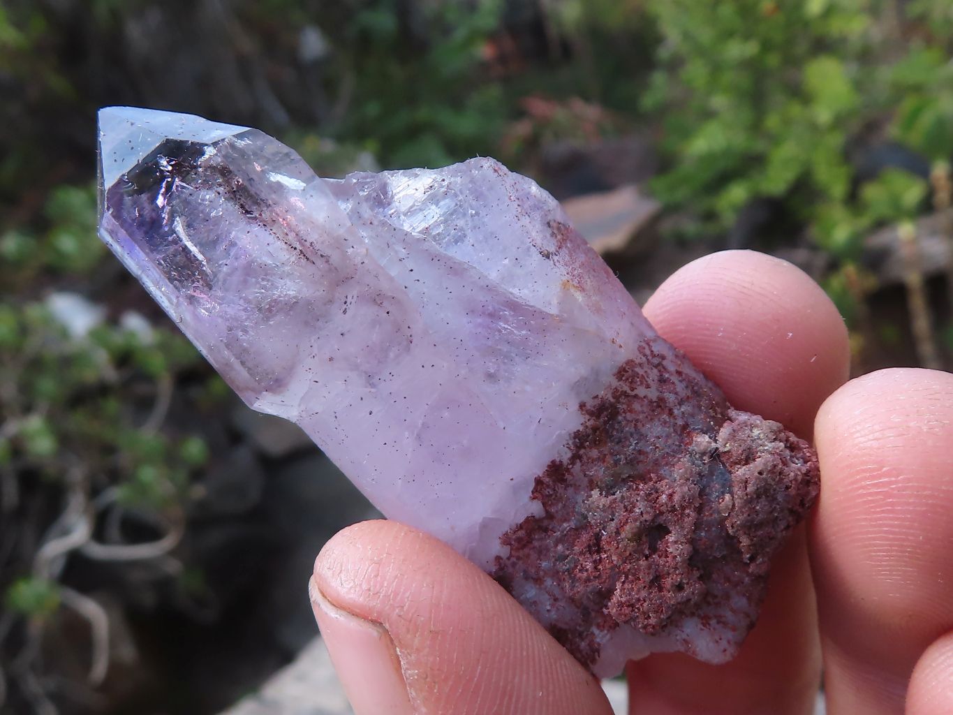 Natural Long Window Amethyst Quartz Crystals  x 12 From Chiredzi, Zimbabwe - Toprock Gemstones and Minerals 