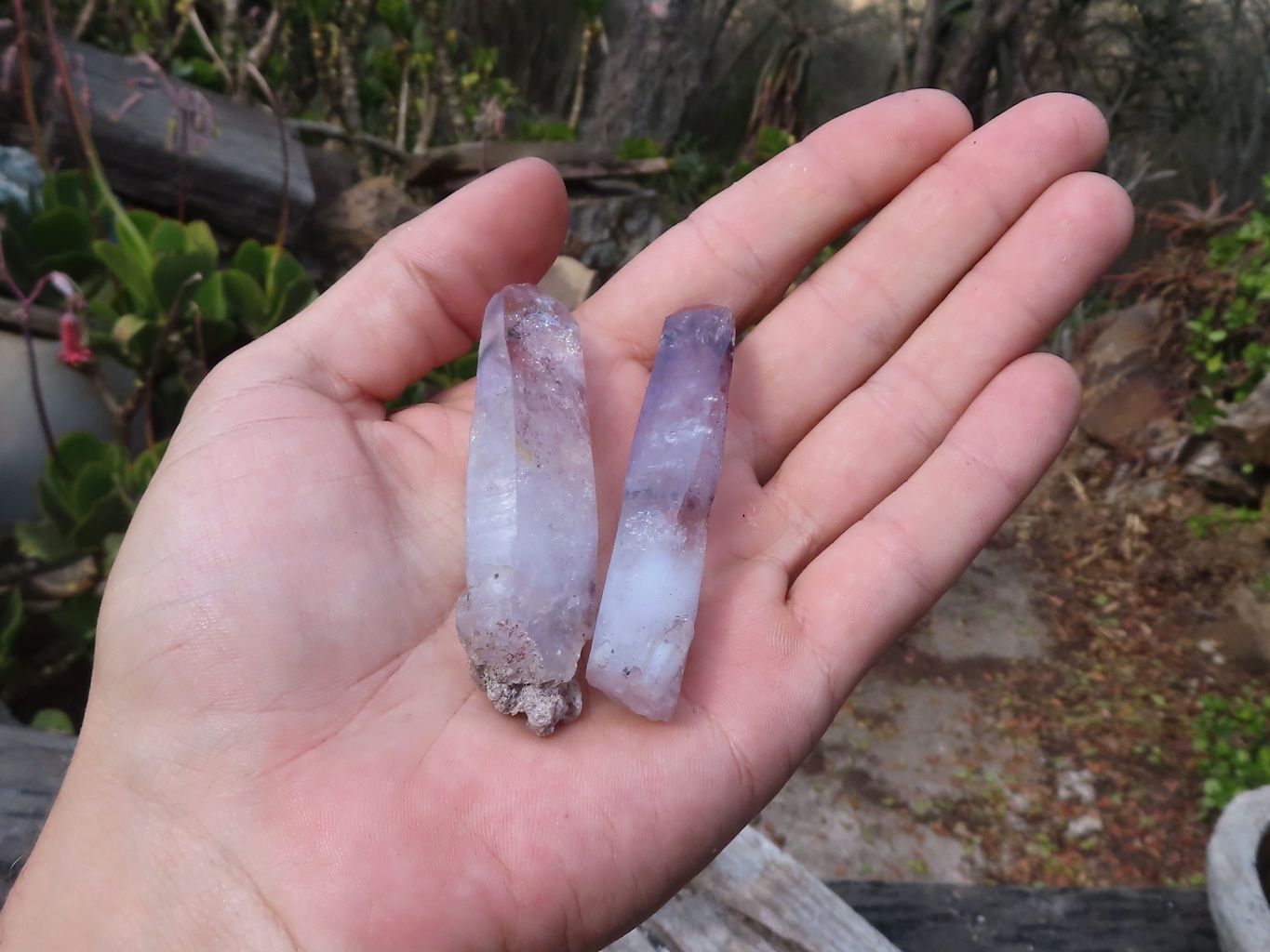 Natural Long Window Amethyst Quartz Crystals  x 12 From Chiredzi, Zimbabwe - Toprock Gemstones and Minerals 