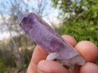 Natural Long Window Amethyst Quartz Crystals  x 12 From Chiredzi, Zimbabwe - Toprock Gemstones and Minerals 