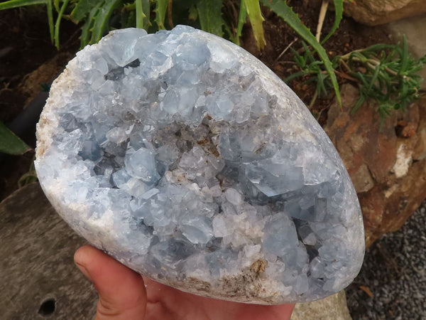 Polished Large Blue Celestite Crystal Centred Egg x 1 From Sakoany, Madagascar - TopRock