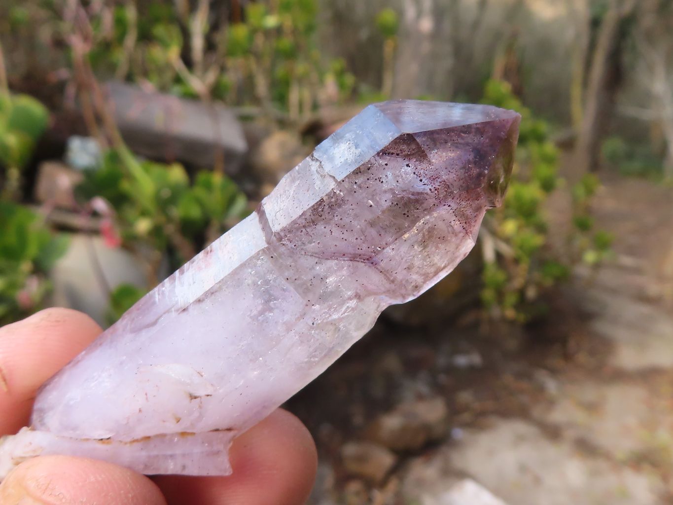 Natural Long Window Amethyst Quartz Crystals  x 12 From Chiredzi, Zimbabwe - Toprock Gemstones and Minerals 