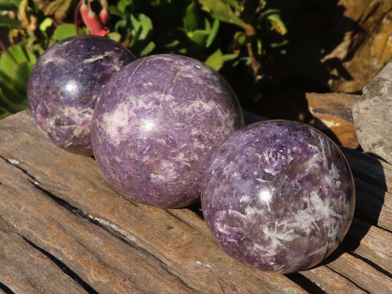 Polished Purple Lepidolite Spheres  x 3 From Zimbabwe - Toprock Gemstones and Minerals 