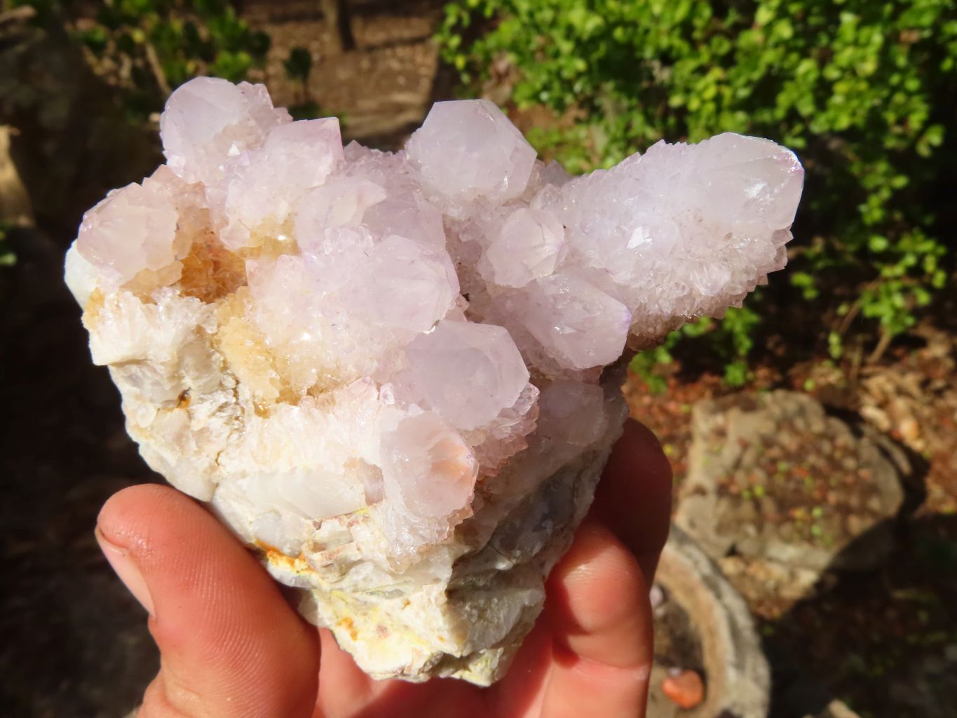Natural Pale Lilac Spirit Quartz Clusters x 6 From Barberton, South Africa - Toprock Gemstones and Minerals 